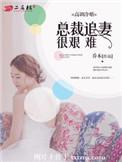总裁追妻很艰难 聚合中文网