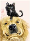 穿成猫后考玄学爆红