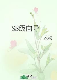 ss级向导漫画