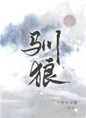 驯狼桃桃乌龙原著