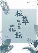 校草妹妹是花妖 霜染衣全文免费阅读