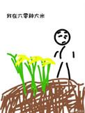 我在60种大米