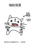 猫的报恩游戏攻略