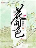 花间色沧澜止戈是无cp文吗