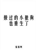 小狼狗又暖又撩全文