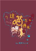 这喵怎么撩我