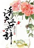 诱夫三十六计百度
