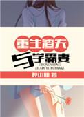 重生渣夫与学霸妻xt