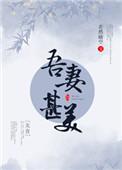 吾妻甚美免费阅读全文
