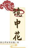 镜中花水中月是什么意思