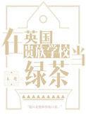 在英国贵族学校当绿茶by木三观讲的什么