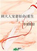 顾大人宠妻如命笔趣阁