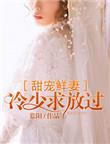 冷少宠妻超甜全文免费阅读