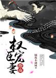 权臣宠妻指南 倾我不倾城