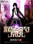 极品掠夺系统小龙女