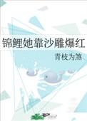 锦鲤她靠沙雕爆红txt书包网