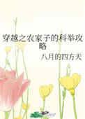 穿越之农家子的科举攻略全文免费阅读
