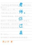 老师你过来作者诗小刀讲的什么