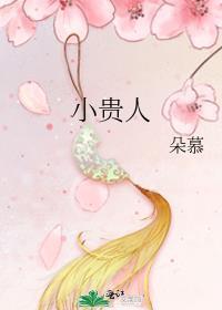 宋朝来的小贵人