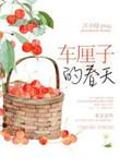 春天里的小樱桃全部作品有哪些
