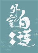 外室白莲手册免费阅读 作者花落乌衣巷