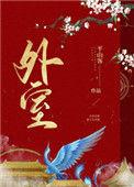 外室白莲手册
