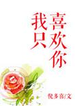 我只喜欢你的人设车