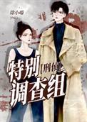 特别调查组刑侦宝书网