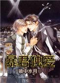 暴君独爱 镜中水月 无删减