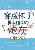 穿成怀了男主孩子的炮灰h