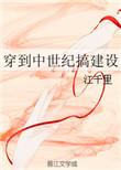 穿到中世纪搞建筑by江千里