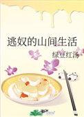 逃奴的山间生活无防盗