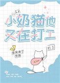 小奶猫它又在打工