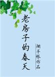 老房子的春天txt微盘