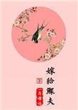 嫁给鳏夫完结版免费阅读无错章