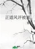正道风评被害30