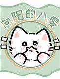 向阳简介