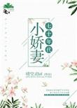 七十年代小娇妻全文免费阅读