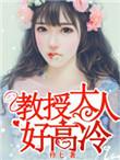 教授大人好高冷txt伶七