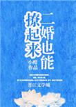 二婚也能撩起来番外
