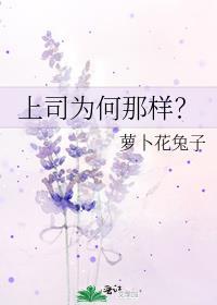 上司为何那样番外结局
