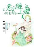 限量老公至尊宠全文