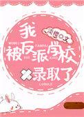 我被反派学校录取了txt百度