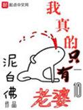 我真只有一个老婆