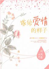 嫁给爱情的样子txt