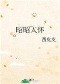 昭昭入怀全文