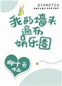 我的墙头遍布娱乐圈txt