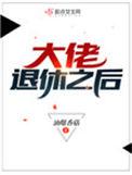 大佬退休之后剧情