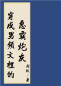 穿进男频搞基建全文免费阅读