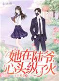 她在陆爷心上